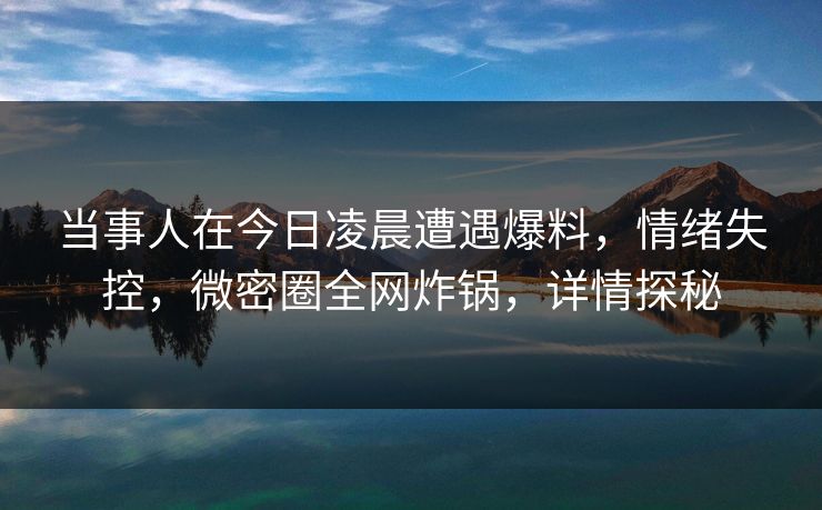当事人在今日凌晨遭遇爆料，情绪失控，微密圈全网炸锅，详情探秘