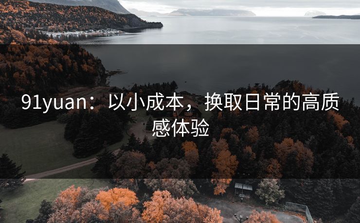91yuan：以小成本，换取日常的高质感体验