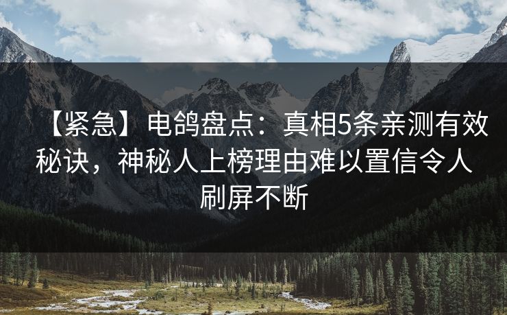 【紧急】电鸽盘点：真相5条亲测有效秘诀，神秘人上榜理由难以置信令人刷屏不断